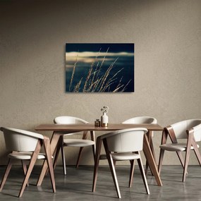 Sklenený obraz tráv (70x50 cm)