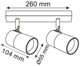Zuma Line 2204BD-2-BK - Bodové svietidlo FORI 2xGU10/50W/230V čierna/zlatá