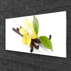 Skleneny obraz Vanilka listy rastlina 100x50 cm