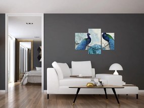 Obraz - Pávy s textúrami (90x60 cm)