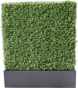 Zástena buxus 100cm x 60cm