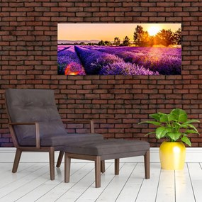 Obraz levanduľového pole, Provence (120x50 cm)