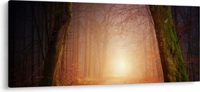 Obraz jesenného lesa v hmle (120x50 cm)