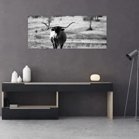 Obraz - Krava, čiernobiela (120x50 cm)