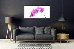 Skleneny obraz Vstavač kvet orchidea 140x70 cm