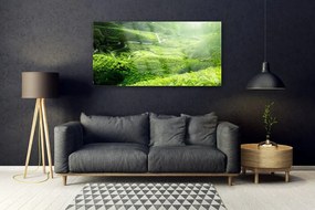 Obraz na akrylátovom skle Lúka príroda 120x60 cm