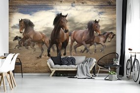 Fototapeta - Cval koňa na drevených doskách (254x184 cm)