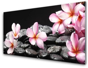Obraz plexi Kvet kamene rastlina 140x70 cm