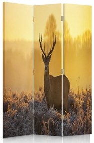 Ozdobný paraván Západ slunce s jelenem - 110x170 cm, trojdielny, obojstranný paraván 360°