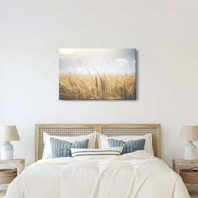 Obraz obilia (90x60 cm)
