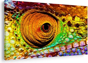 Obraz - Chameleon (90x60 cm)