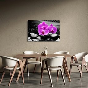 Obraz - Fialové orchidey (90x60 cm)