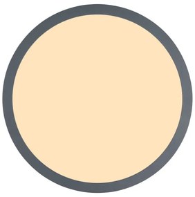 Globo 416080WD1R - LED Stropné svietidlo DORO LED/12W/230V pr. 30 cm