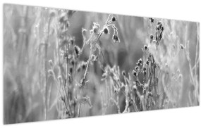 Obraz - Divoká lúka (120x50 cm)