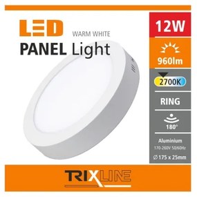 LED Stropné svietidlo LED/12W/230V