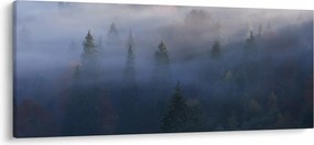 Obraz - Les v hmle, Karpaty, Ukrajina (120x50 cm)
