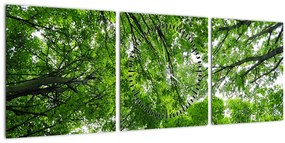 Obraz - Pohľad do korún stromov (s hodinami) (90x30 cm)