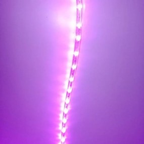 DECOLED Hadica LED 50 m, ružová, 1500 diód, IP44 Easy Fix
