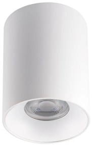 Kanlux 27569 - Stropné svietidlo RITI 1xGU10/25W/230V biela KX0353