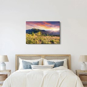 Obraz - Lesná krajina (90x60 cm)