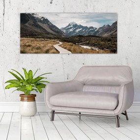 Obraz - Chodník v údolí hory Mt. Cook (120x50 cm)