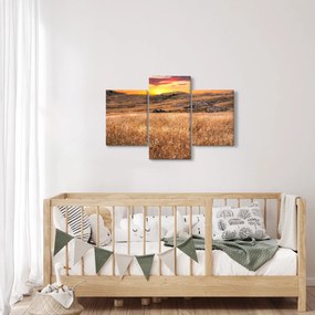 Obraz pole (90x60 cm)