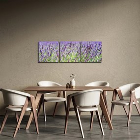 Obraz poľa s levanduľou (s hodinami) (90x30 cm)