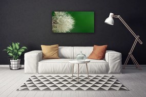Obraz na plátne Púpava rastlina 120x60 cm