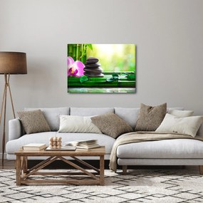 Obraz masážnych kameňov a orchidey na vode (70x50 cm)