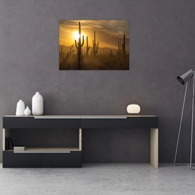 Sklenený obraz - Kaktusy Saguaro (70x50 cm)