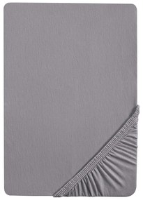 Biberna Napínacia plachta (striebornosivá, 140 – 160 x 200 cm)  (100226989)