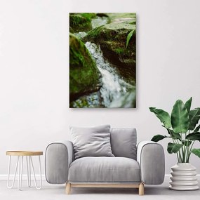 Gario Obraz na plátne Rieka Rushing Rozmery: 40 x 60 cm