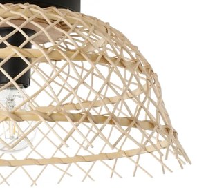 Eglo 43831 - Stropné svietidlo AUSNBY 1xE27/40W/230V