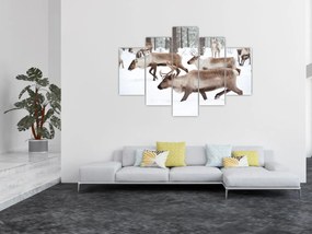 Obraz - Soby (150x105 cm)