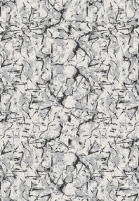 BE Koberec Elsa 3212 GREY – sivý obdĺžnikový Rozmer: 120x180 cm