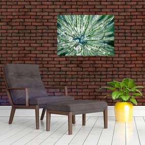 Obraz - Makro snímka kvetu (70x50 cm)