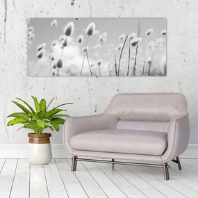 Obraz - Boho bunny tail grass (120x50 cm)