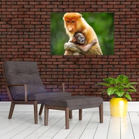Obraz opíc (90x60 cm)
