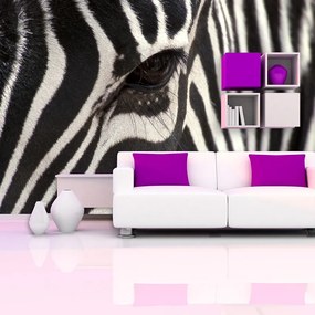Sablio Tapeta Detail zebra - 336x220 cm