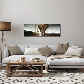 Obraz slona (s hodinami) (90x30 cm)