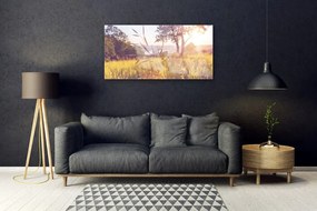 Skleneny obraz Lúka tráva strom príroda 120x60 cm