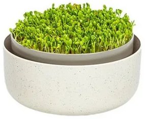 Plastia Microgreens, slonová kosť s kávovou usadeninou