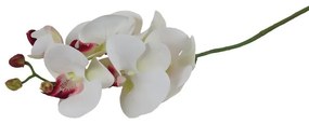 Umelá orchidea X4920-02