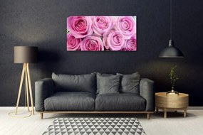 Obraz na akrylátovom skle Ruže kvety rastlina 100x50 cm
