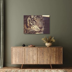 Sklenený obraz tigra (70x50 cm)