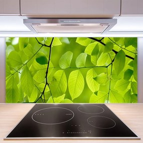Nástenný panel  Listy príroda rastlina 125x50 cm