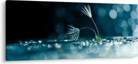 Obraz - Makro (120x50 cm)