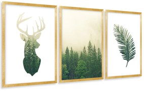 Gario Sada plagátov Divá príroda - 3 dielna Farba rámu: Zlatá, Veľkosť: 99 x 45 cm