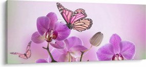 Obraz - Motýľ na kvetoch orchidey, lila (120x50 cm)