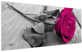 Obraz - Ružová ruža (120x50 cm)